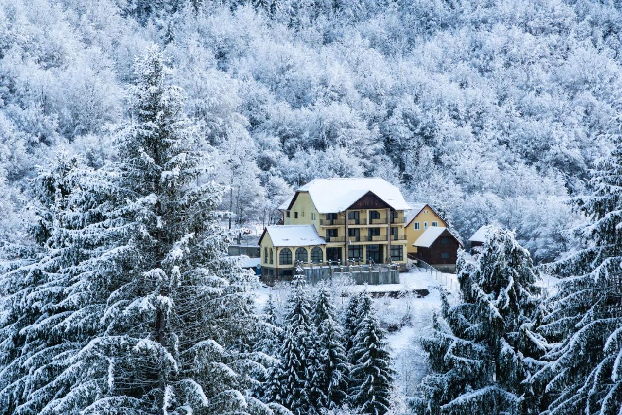Pensiunea Dolvas Падис Экстерьер фото